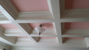Ceiling Painting in Durham, NC